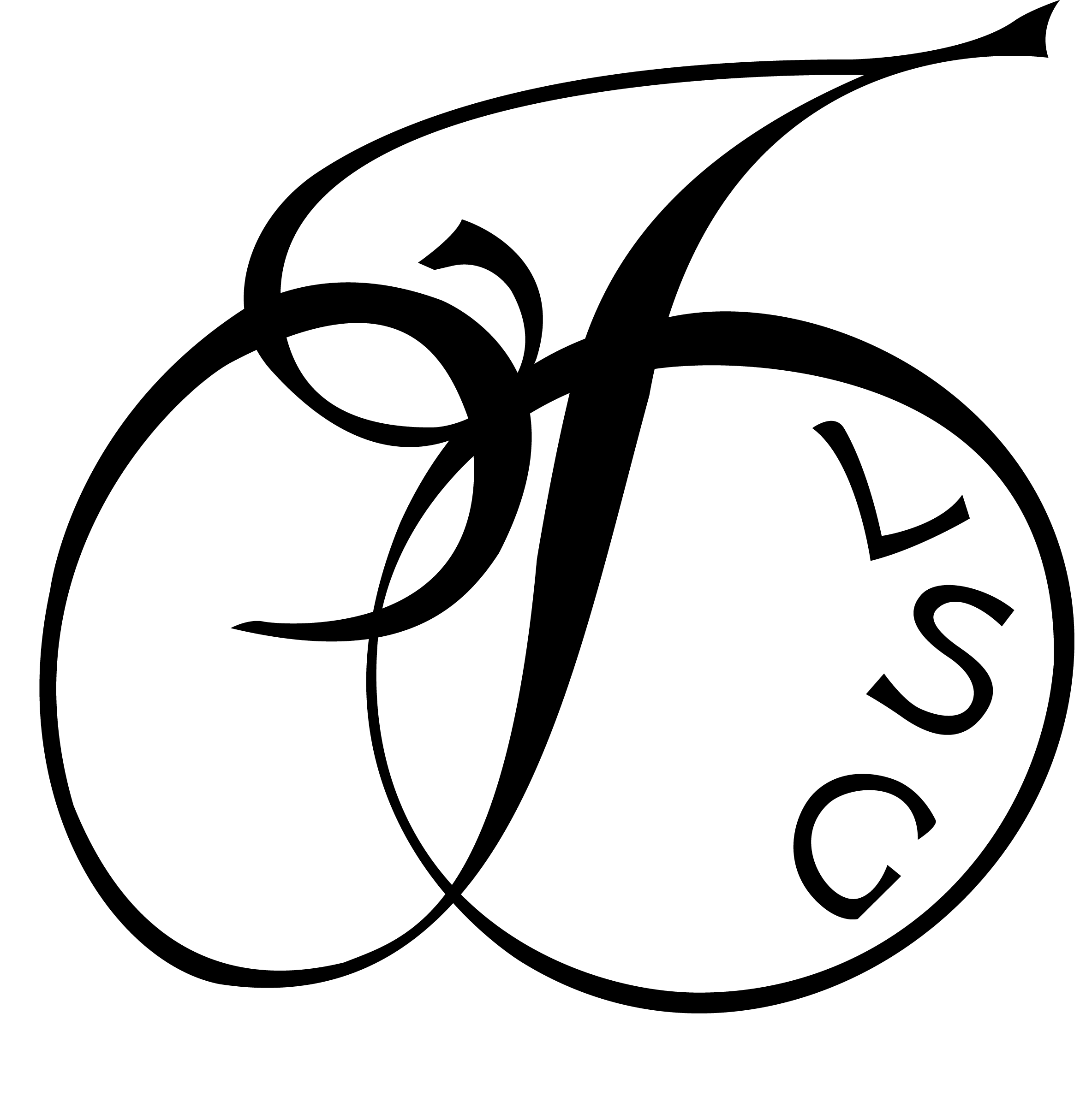 FDLSG Logo 2018